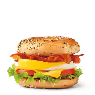 Bagel BELT